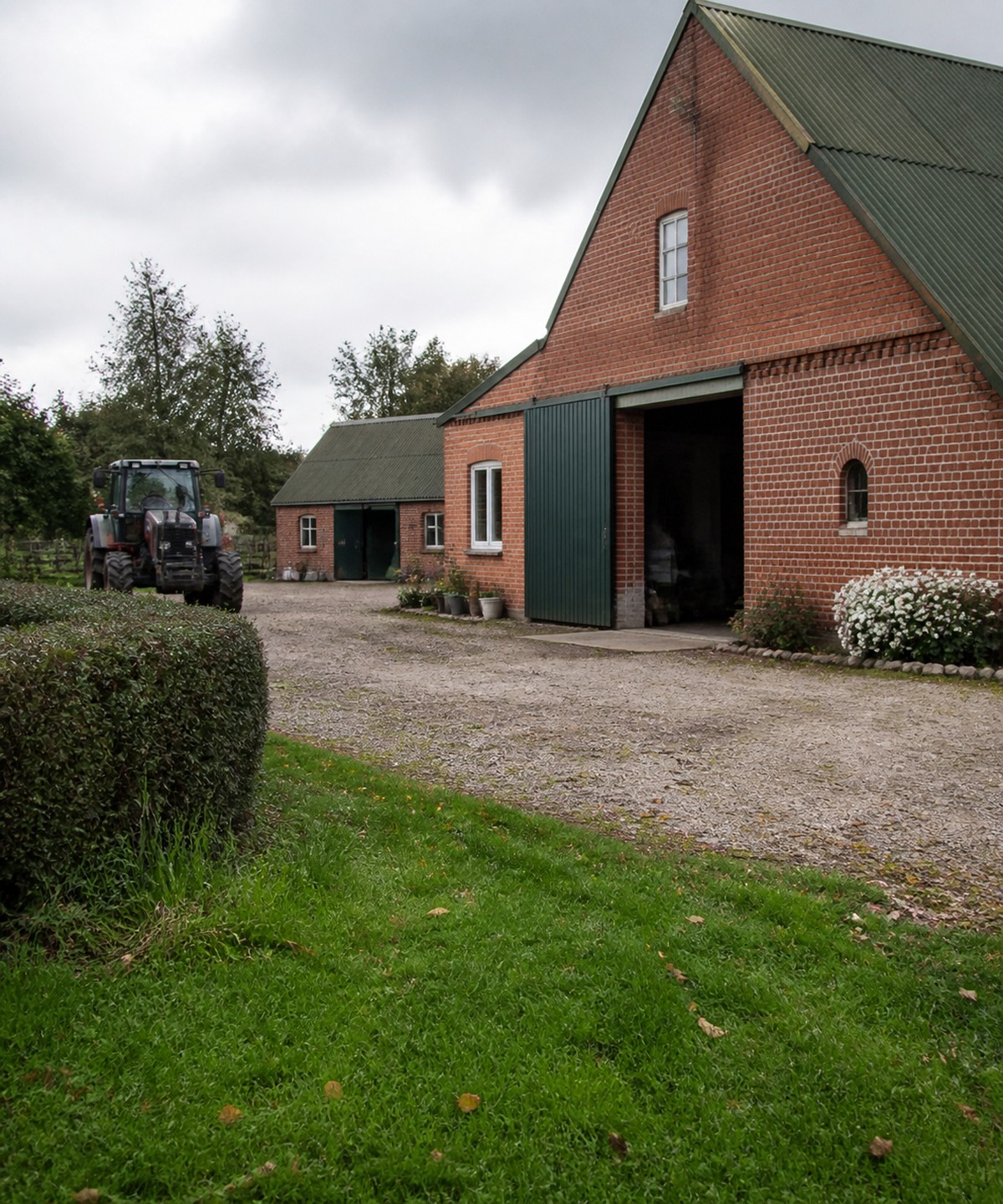 Ostfriesische Milchschafe auf einer grünen Weide