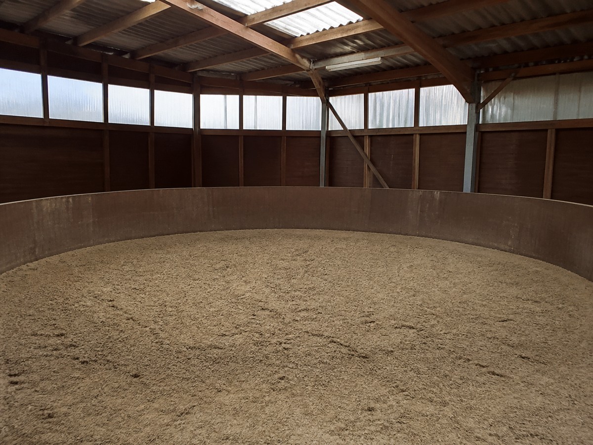 Runde Longierhalle mit Sandboden und Holzwand